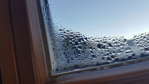 Double Glazing in  Mortlake, SW14